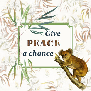 Week 4 - Peace