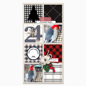 24-Day-24_RedBellied-Woodpecker_web