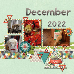 2022 Peyton Dec