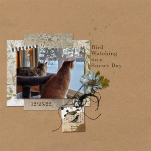 Bird Watching On A Snowy Day