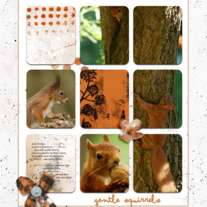 Gentle squirrels