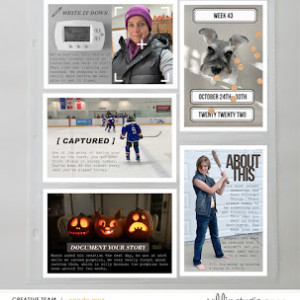 PL2022 - Week 43 | Sahlin Studio