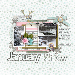 SOSN_jan4_AD_January Snow