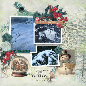 Winter Woodland