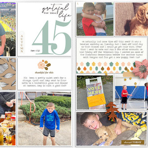 Week 45