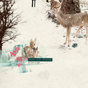 Winter Woodland