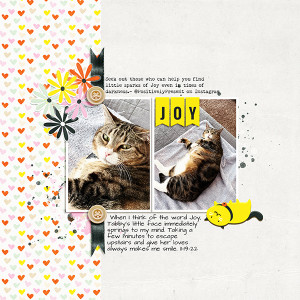 MOC Day 1 Tabby Joy