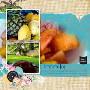 1 - Tropical Joy (MOC11)
