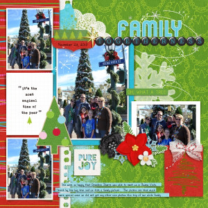 Family Togetherness