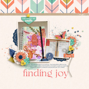 MOC11 - 1 - FInding Joy