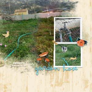 Garden Hose
