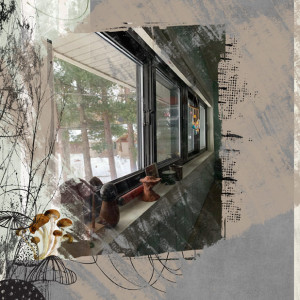 MOC11-3Jan-PhotographyWEB