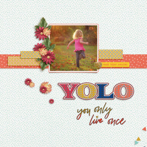 Yolo