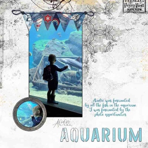 4Aquarium Copy
