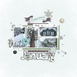 January Snow