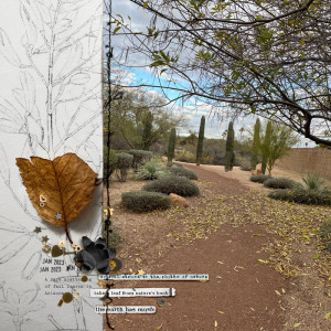 MOC03-Photography-Path-copy