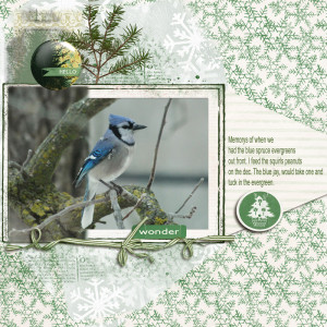 Lift-of-1612_style_bluejay