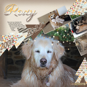 5Roxy Copy