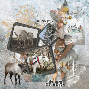 North Pole