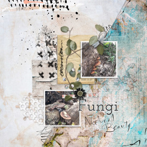 2022-12-27_Fungi