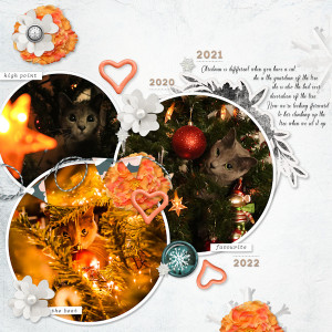 221225_3 Years Cat