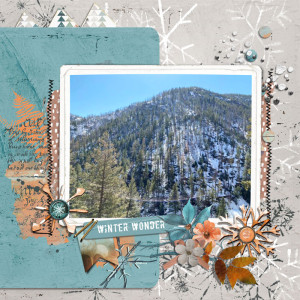 winter wonder