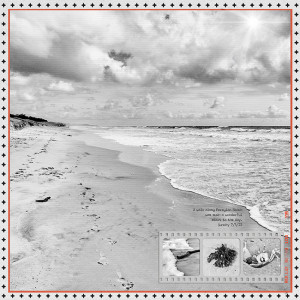 MOC3 - Beach Walk