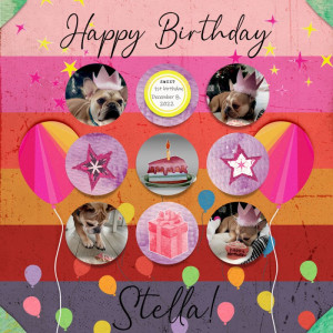Stella Turns 1!