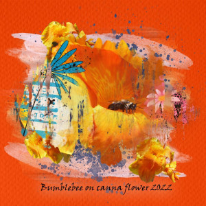 Day 8 Bumble And Canna 2022