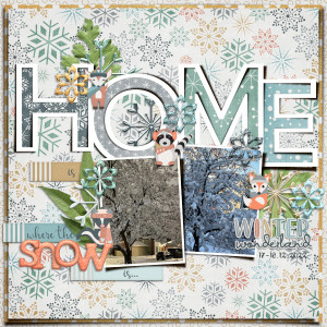 Home is where the snow is