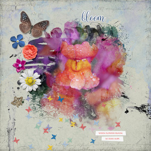 bloom