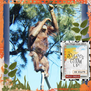 Day 9 San Diego Zoo