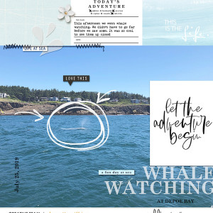 whale watchcing - MOC day 9