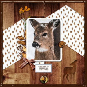 Deer