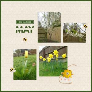 Spring Flowers