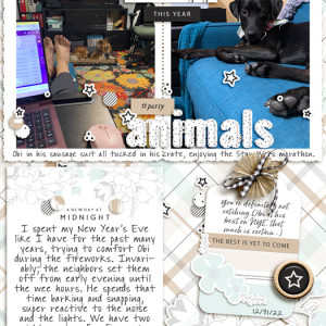 Party-Animals