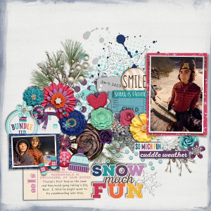 SNOW MUCH FUN