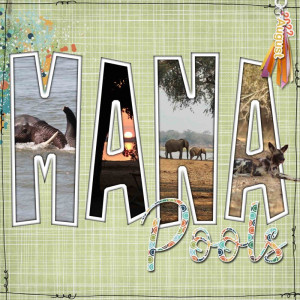11_ManaPoolsCover Copy