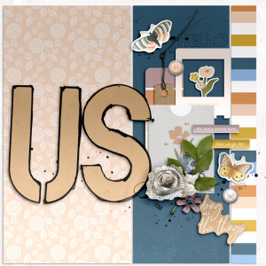 11 - Album Cover