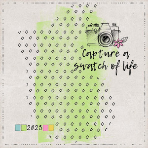 +MOC-11_Day-11-Capture-a-Swatch-of-Life