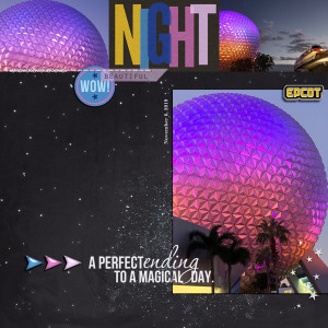 Disney World Epcot Night-11-19