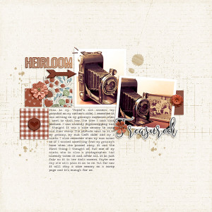 Papie's Old Camera