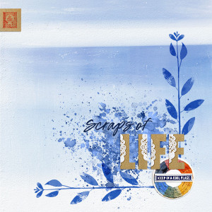 Scraps Of Life