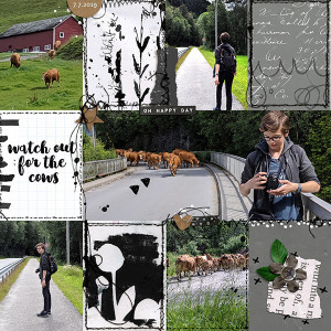 Day 5 - Multiple Photos