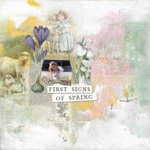 Wheel Ot The Year - Imbolc