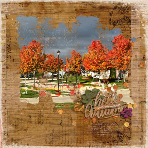 MOC11-Day 8 vivid fall colors
