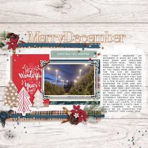 Merry December  (MOC:  January 14 - Journaling)