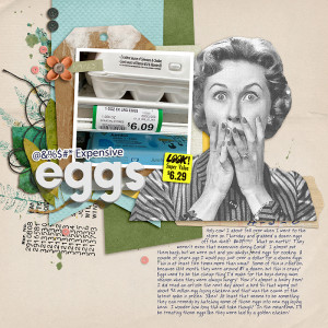 Day 14 - Expensive Eggs