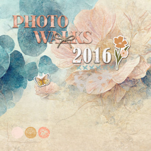 January 11 Create An Album Cover MOC 11 7x7