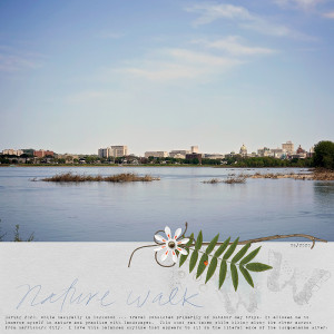 Nature Walk - Jan 9
